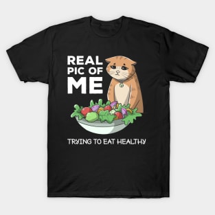 Funny Diet Cat Weightloss Fasting Gym Workout Fitness Health T-Shirt